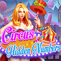 Circus Hidden Numbers